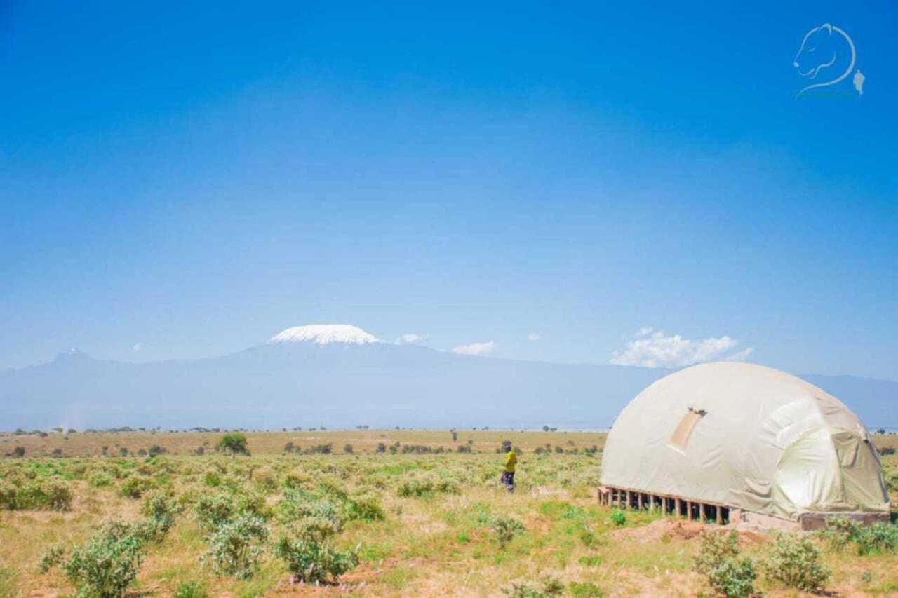 Amanya 2-Rooms Lioness Family Amboseli Buitenkant foto