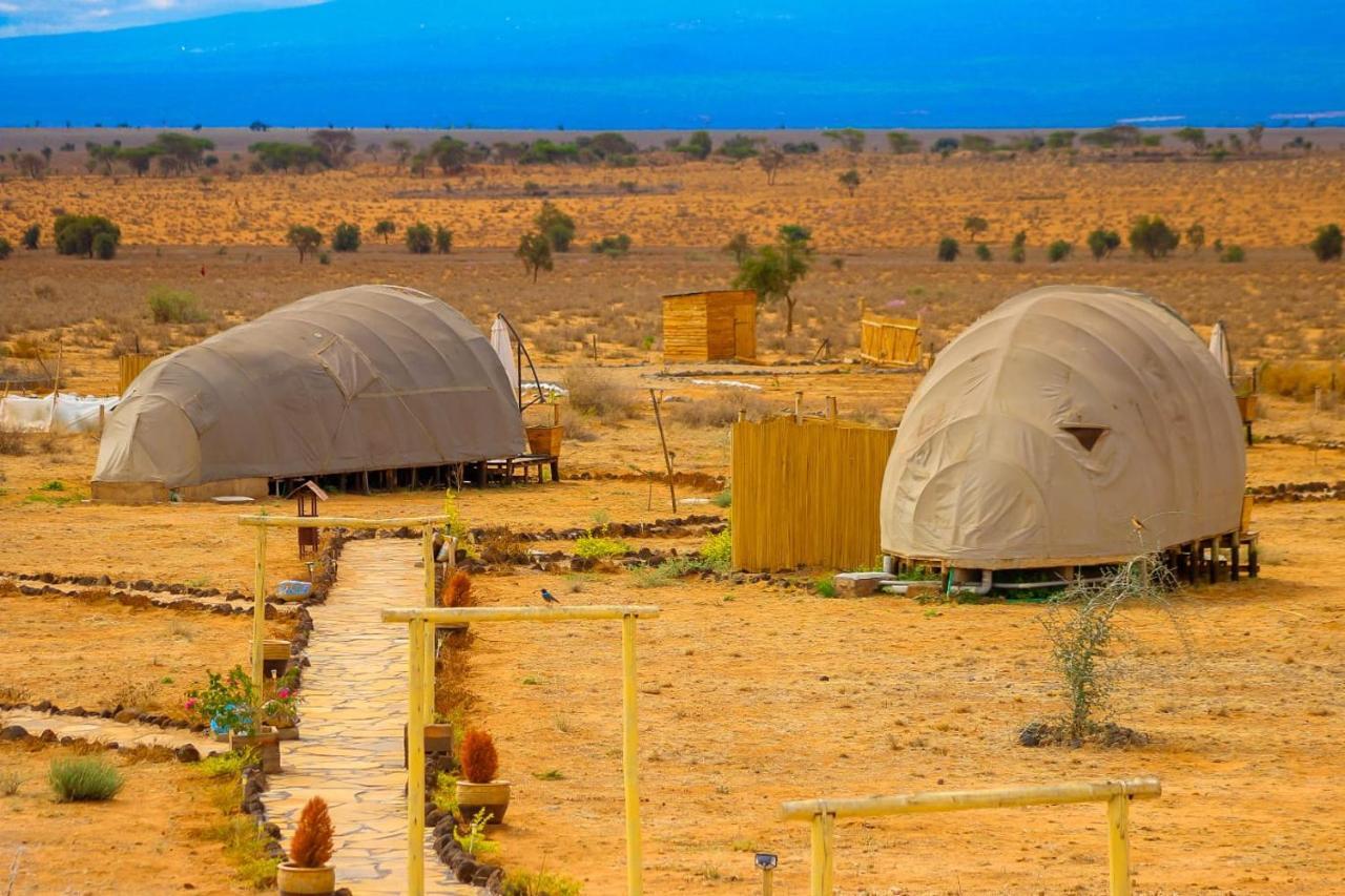 Amanya 2-Rooms Lioness Family Amboseli Buitenkant foto
