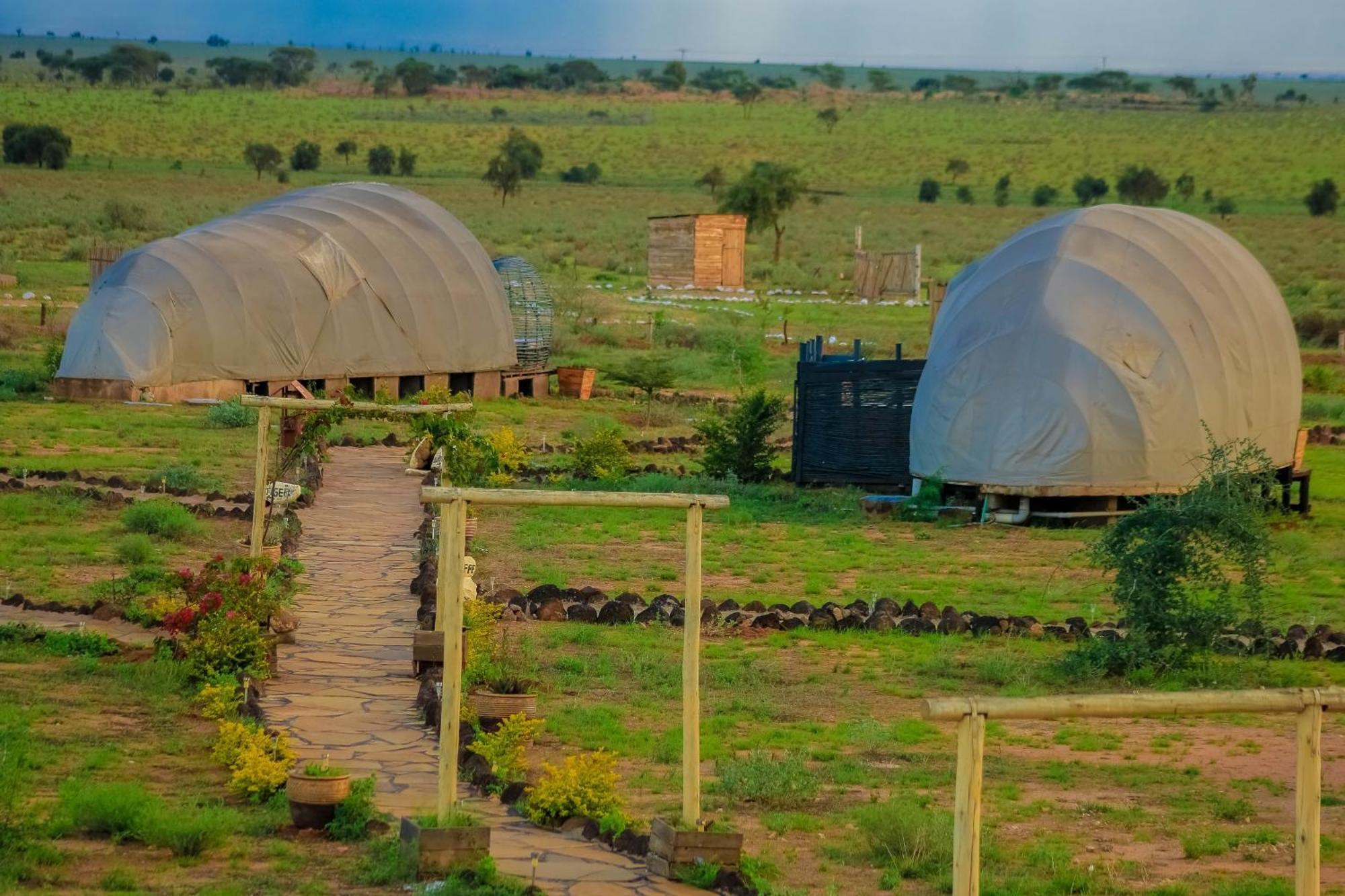 Amanya 2-Rooms Lioness Family Amboseli Buitenkant foto